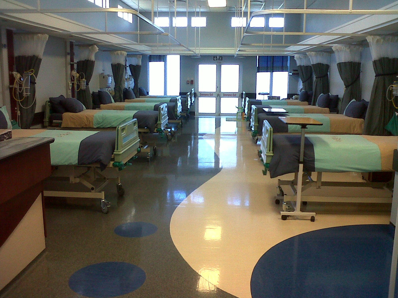 IMG00972-20130102-0826